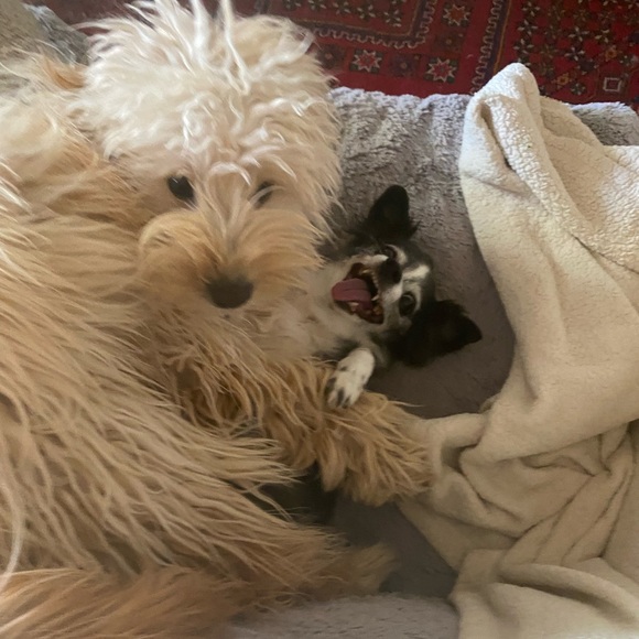 Meet your Posher, Adrienne - Picture 9 of 16